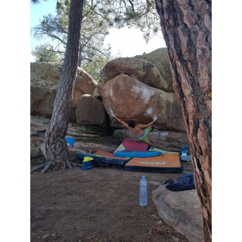 Speedster La Sportiva Schweiz Lime Yellow