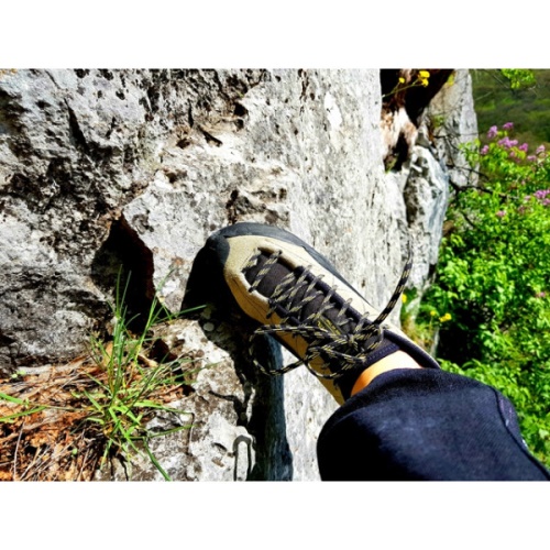 Tc Pro Olive La Sportiva Schweiz