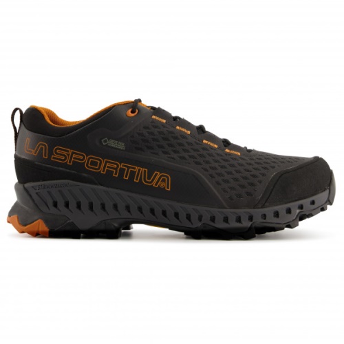 Die Sportliche Schweiz Carbon Maple Spire Gtx