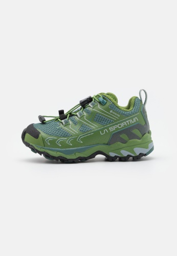 Der Sportliche Schweiz Kale Pine Ultra Raptor Ii Jr Gtx Unisex